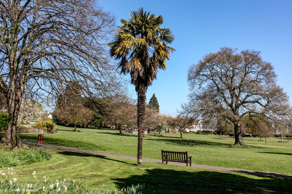 Courtenay Park: one of many great open spaces in Newton Abbot – right opposite the railway&nbsp;station